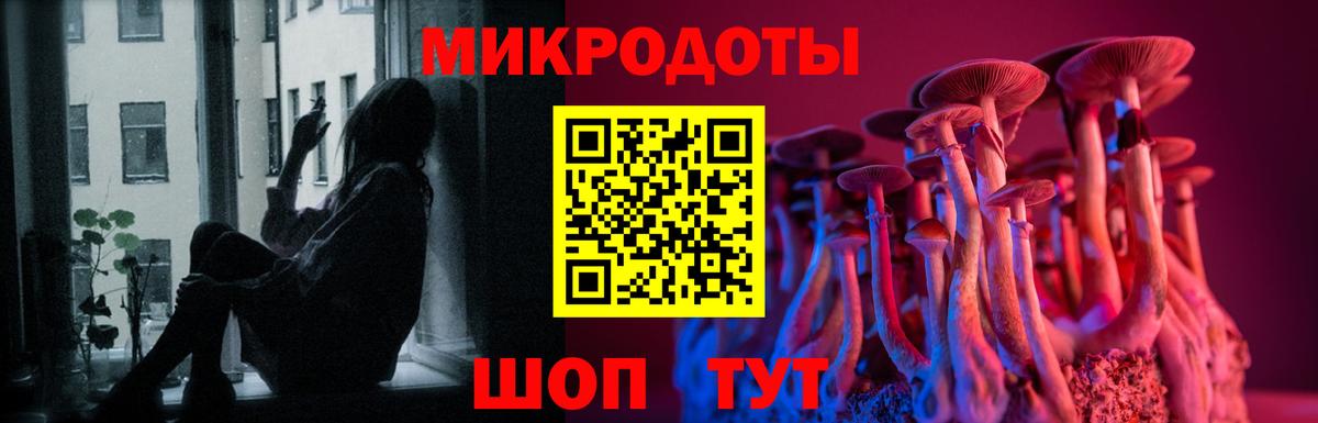 Галлюциногенные грибы Cubensis Белово